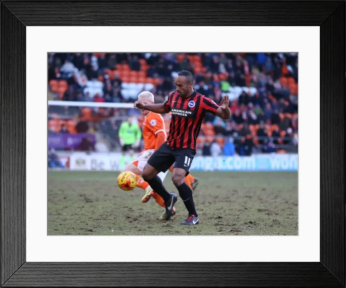 Framed Print : Chris O'Grady in Action: Brighton & Hove Albion vs. Blackpool, Sky Bet Championship (31st January 2015) Framed Print : Chris O'Grady in Action: Brighton & Hove Albion vs. Blackpool, Sky Bet Championship (31st January 2015)