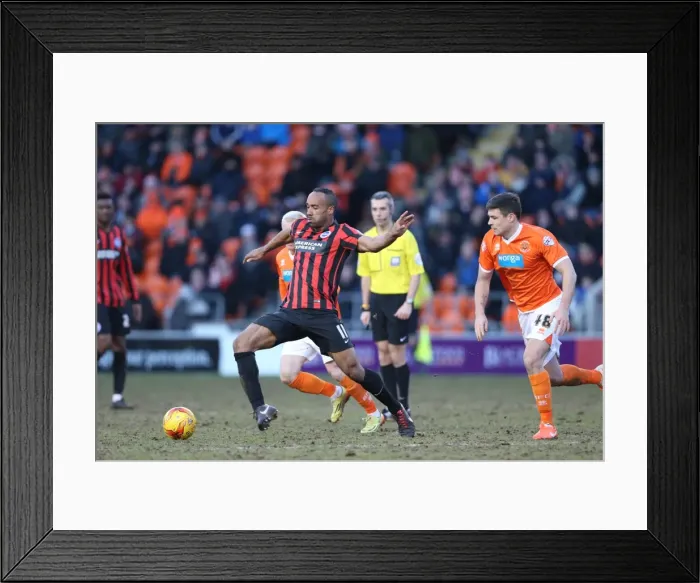Framed Print : Chris O'Grady Scores for Brighton: Blackpool vs. Brighton and Hove Albion, Sky Bet Championship, 31st January 2015 Framed Print : Chris O'Grady Scores for Brighton: Blackpool vs. Brighton and Hove Albion, Sky Bet Championship, 31st January 2015