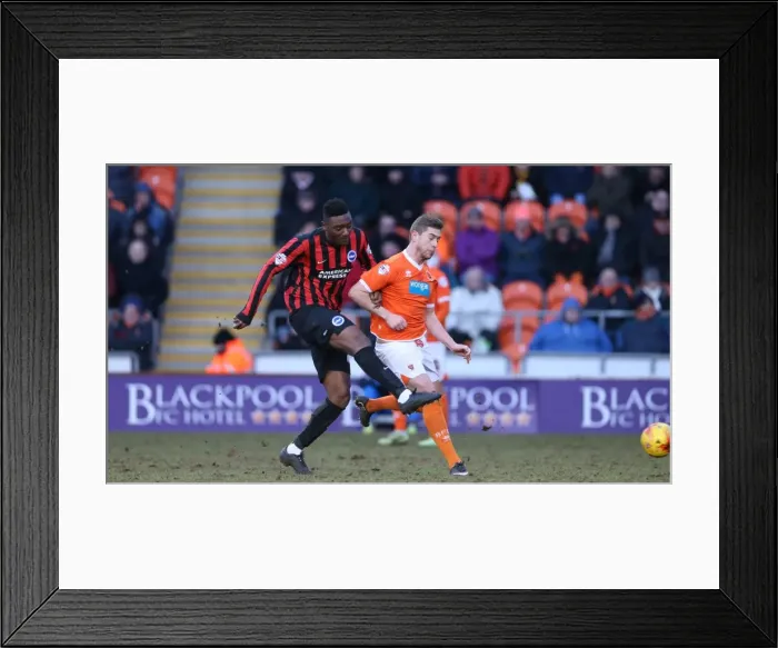 Framed Print : Rohan Ince in Action: Brighton Midfielder Battles in Sky Bet Championship Clash against Blackpool (31st January 2015) Framed Print : Rohan Ince in Action: Brighton Midfielder Battles in Sky Bet Championship Clash against Blackpool (31st January 2015)