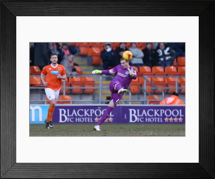 Framed Print : David Stockdale in Action: Brighton and Hove Albion vs. Blackpool, Sky Bet Championship, Bloomfield Road, 31st January 2015 Framed Print : David Stockdale in Action: Brighton and Hove Albion vs. Blackpool, Sky Bet Championship, Bloomfield Road, 31st January 2015