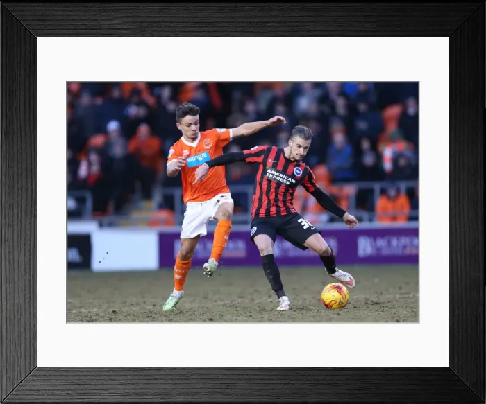 Framed Print : Joe Bennett in Action: Brighton Defender Faces Blackpool in Sky Bet Championship Clash (31st January 2015) Framed Print : Joe Bennett in Action: Brighton Defender Faces Blackpool in Sky Bet Championship Clash (31st January 2015)