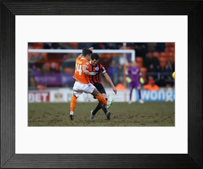 Framed Print : Gordon Greer Leads Brighton and Hove Albion in Championship Clash vs. Blackpool (31Jan15)