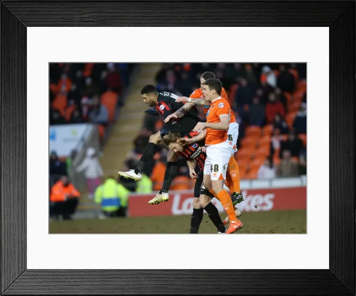 Framed Print : Leon Best in Action: Blackpool vs. Brighton & Hove Albion, Sky Bet Championship (31st January 2015) Framed Print : Leon Best in Action: Blackpool vs. Brighton & Hove Albion, Sky Bet Championship (31st January 2015)