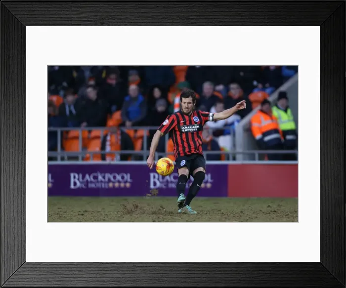 Framed Print : Gordon Greer Leads Brighton and Hove Albion in Championship Clash against Blackpool (31Jan15) Framed Print : Gordon Greer Leads Brighton and Hove Albion in Championship Clash against Blackpool (31Jan15)