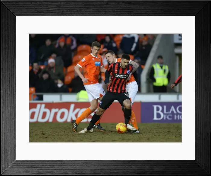 Framed Print : Leon Best in Action: Brighton and Hove Albion vs Blackpool, Sky Bet Championship, Bloomfield Road, 31st January 2015 Framed Print : Leon Best in Action: Brighton and Hove Albion vs Blackpool, Sky Bet Championship, Bloomfield Road, 31st January 2015