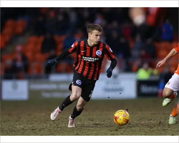 Solly March in Action: Blackpool vs. Brighton and Hove Albion, Sky Bet Championship (31st January 2015)