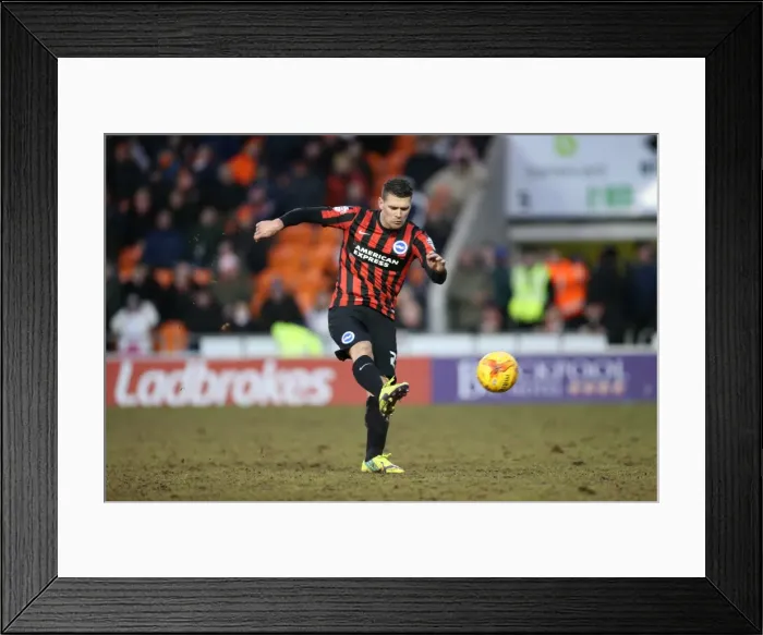 Framed Print : Brighton Midfielder Danny Holla in Action Against Blackpool (31Jan15) Framed Print : Brighton Midfielder Danny Holla in Action Against Blackpool (31Jan15)