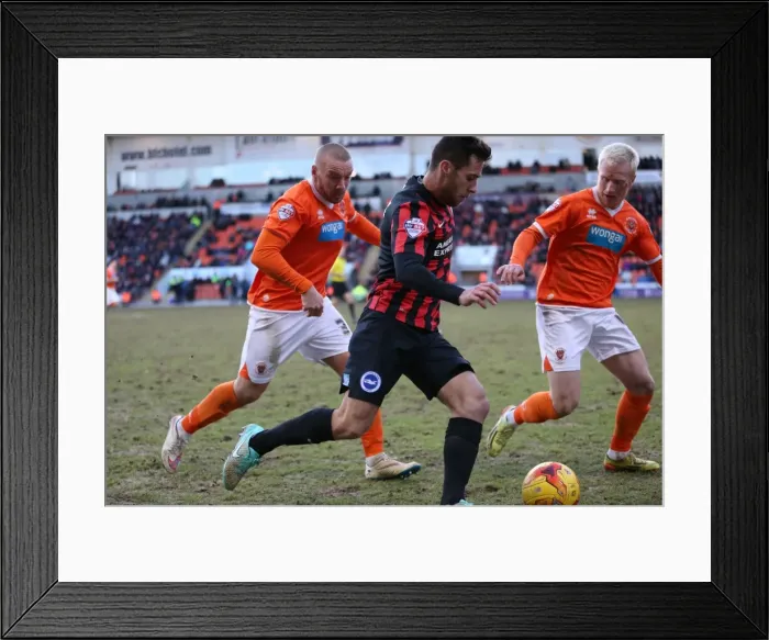 Framed Print : Sam Baldock in Action: Brighton and Hove Albion vs. Blackpool, Sky Bet Championship (31st January 2015) Framed Print : Sam Baldock in Action: Brighton and Hove Albion vs. Blackpool, Sky Bet Championship (31st January 2015)