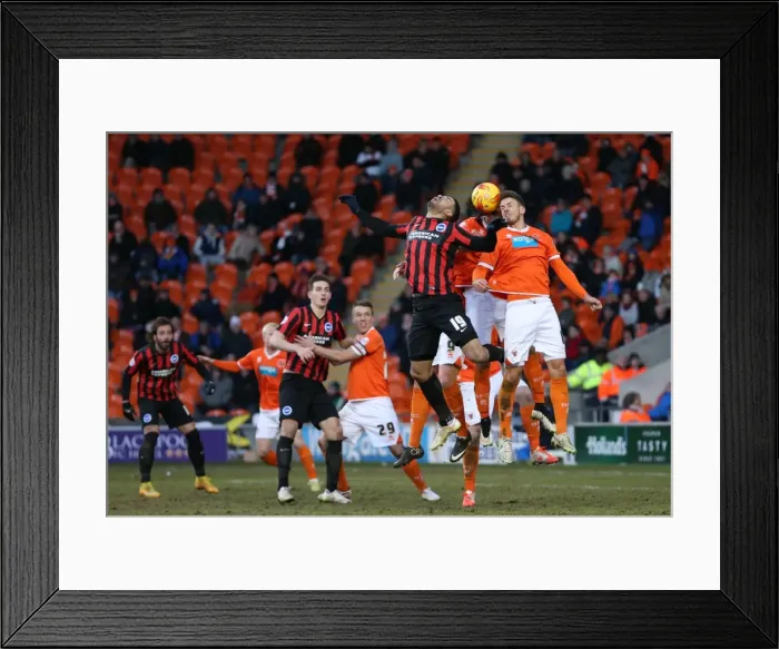 Framed Print : Leon Best in Action: Brighton and Hove Albion vs. Blackpool, Sky Bet Championship (31st January 2015) Framed Print : Leon Best in Action: Brighton and Hove Albion vs. Blackpool, Sky Bet Championship (31st January 2015)