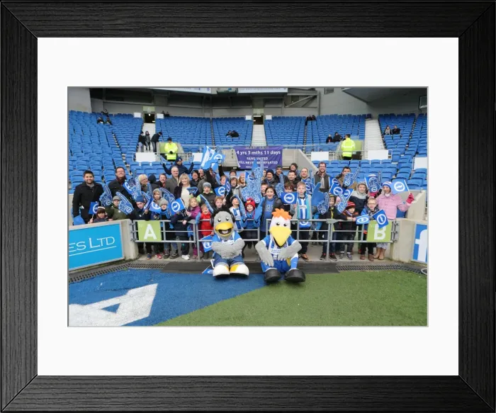 Framed Print : Brighton & Hove Albion vs. Nottingham Forest: Clash in the Sky Bet Championship (07FEB15) Framed Print : Brighton & Hove Albion vs. Nottingham Forest: Clash in the Sky Bet Championship (07FEB15)