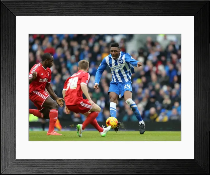 Framed Print : Brighton's Rohan Ince in Action against Nottingham Forest, Sky Bet Championship 2015 Framed Print : Brighton's Rohan Ince in Action against Nottingham Forest, Sky Bet Championship 2015