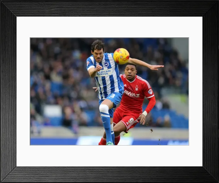 Framed Print : Gordon Greer Leads Brighton and Hove Albion in Championship Battle Against Nottingham Forest (7th February 2015) Framed Print : Gordon Greer Leads Brighton and Hove Albion in Championship Battle Against Nottingham Forest (7th February 2015)