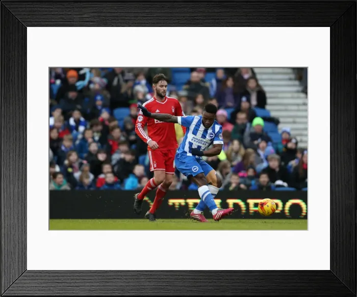 Framed Print : LuaLua's Brilliant Performance: Brighton Outshines Nottingham Forest (07FEB15) Framed Print : LuaLua's Brilliant Performance: Brighton Outshines Nottingham Forest (07FEB15)