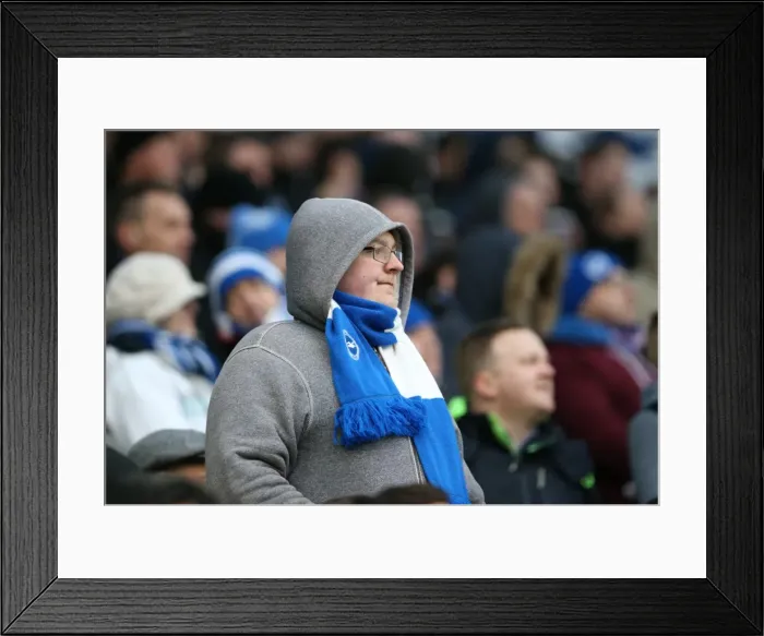 Framed Print : Brighton and Hove Albion Fans in Action: Sky Bet Championship Match vs. Nottingham Forest (07FEB15)