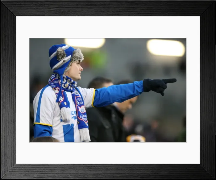 Framed Print : Sea of Colors: Brighton & Hove Albion Fans in Full Force Against Nottingham Forest (7th February 2015)