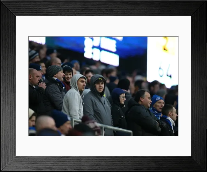 Framed Print : Passionate Albion Fans: A Moment of Pride at the American Express Community Stadium (Brighton & Hove Albion vs. Nottingham Forest, 7th February 2015)