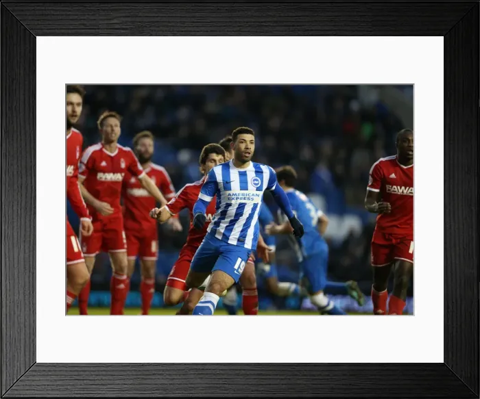 Framed Print : Leon Best in Action: Brighton and Hove Albion vs Nottingham Forest, Sky Bet Championship Clash at American Express Community Stadium (7th February 2015) Framed Print : Leon Best in Action: Brighton and Hove Albion vs Nottingham Forest, Sky Bet Championship Clash at American Express Community Stadium (7th February 2015)