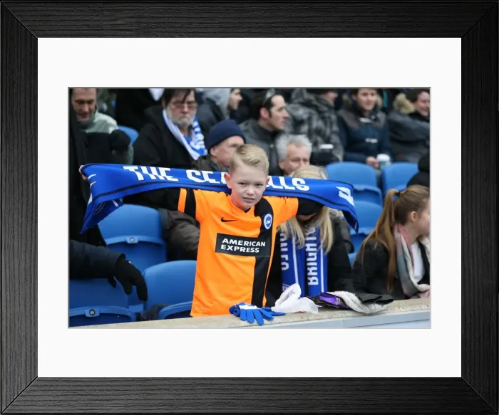 Framed Print : Brighton and Hove Albion Fans in Full Force: Sky Bet Championship Showdown vs. Nottingham Forest (07FEB15)