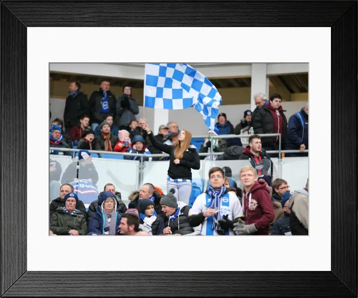 Framed Print : Brighton and Hove Albion FC: Unstoppable Seafront Siege - Sky Bet Championship Clash vs. Nottingham Forest (07FEB15)