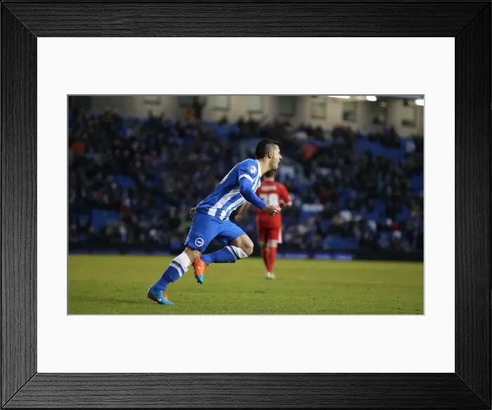 Framed Print : Brighton's Kayal Scores Stunner on Debut Against Nottingham Forest (7 Feb 2015) Framed Print : Brighton's Kayal Scores Stunner on Debut Against Nottingham Forest (7 Feb 2015)