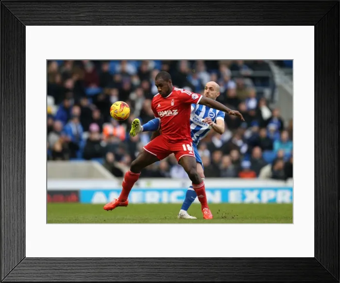 Framed Print : Bruno Saltor: In Action for Brighton and Hove Albion vs. Nottingham Forest, Sky Bet Championship, 7th February 2015 Framed Print : Bruno Saltor: In Action for Brighton and Hove Albion vs. Nottingham Forest, Sky Bet Championship, 7th February 2015