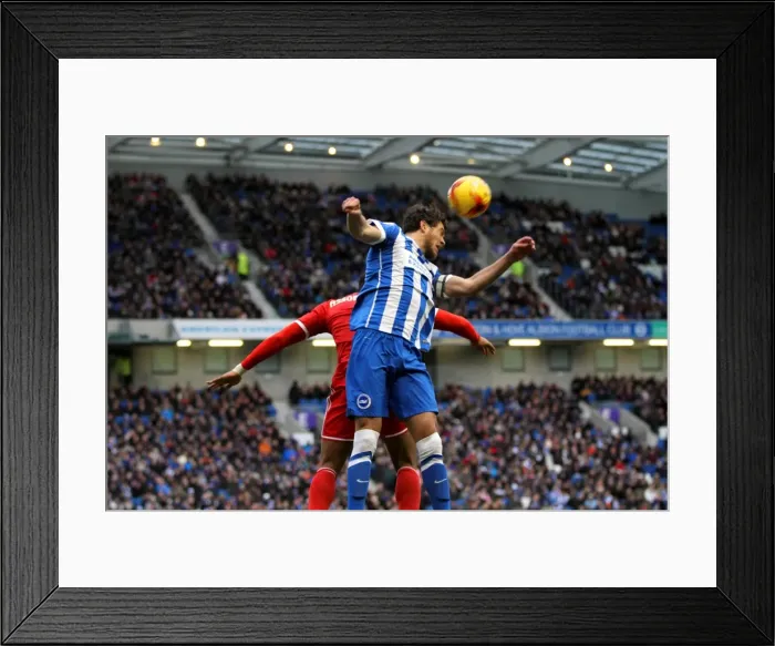 Framed Print : Brighton & Hove Albion vs. Nottingham Forest: 07FEB15 (Home Game) Framed Print : Brighton & Hove Albion vs. Nottingham Forest: 07FEB15 (Home Game)