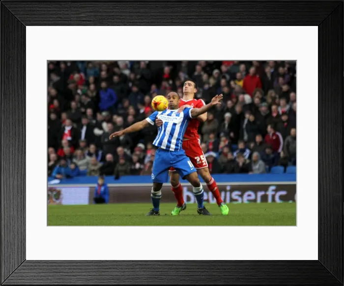 Framed Print : Brighton & Hove Albion vs. Nottingham Forest: A Home Battle from the 2014-15 Season (07FEB15) Framed Print : Brighton & Hove Albion vs. Nottingham Forest: A Home Battle from the 2014-15 Season (07FEB15)