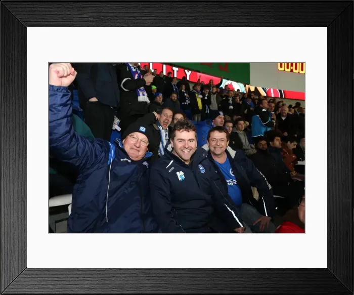 Framed Print : Albion fans during the Sky Bet Championship match between Cardiff City and Brighton Framed Print : Albion fans during the Sky Bet Championship match between Cardiff City and Brighton