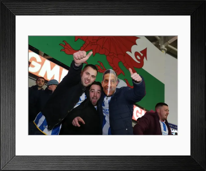 Framed Print : Brighton and Hove Albion Fans Unwavering Support at Cardiff City Stadium, Sky Bet Championship 2015 Framed Print : Brighton and Hove Albion Fans Unwavering Support at Cardiff City Stadium, Sky Bet Championship 2015