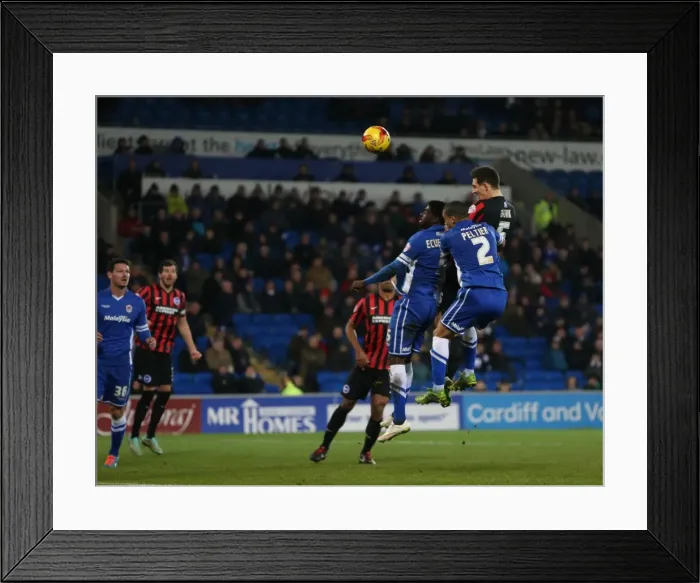 Framed Print : Cardiff City vs. Brighton & Hove Albion: Intense Championship Clash at Cardiff City Stadium (10FEB15) Framed Print : Cardiff City vs. Brighton & Hove Albion: Intense Championship Clash at Cardiff City Stadium (10FEB15)