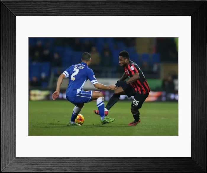 Framed Print : LuaLua in Action: Cardiff City vs. Brighton & Hove Albion, 10th February 2015 Framed Print : LuaLua in Action: Cardiff City vs. Brighton & Hove Albion, 10th February 2015