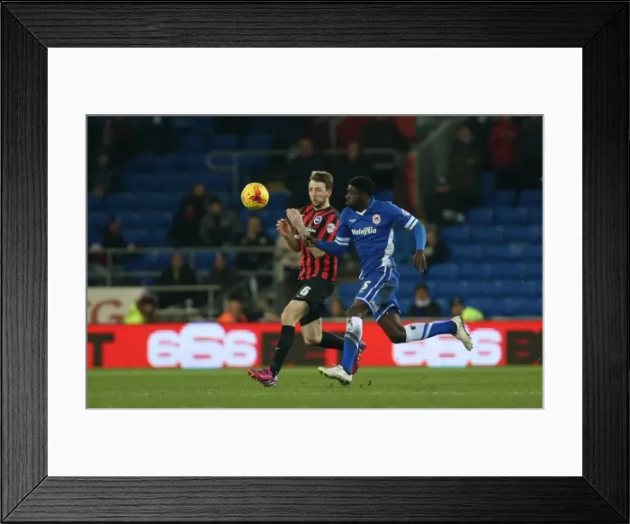 Framed Print : Dale Stephens in Action: Cardiff City vs. Brighton and Hove Albion, Sky Bet Championship 2015 - Midfielder's Determined Performance