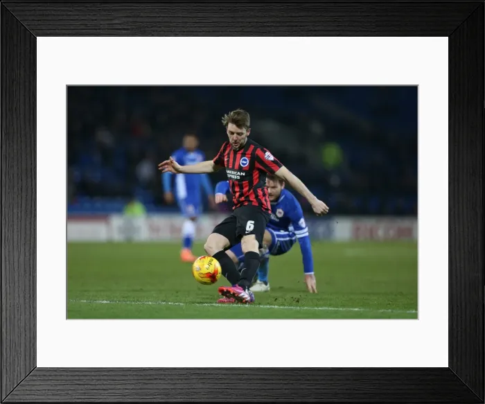 Framed Print : Dale Stephens in Action: Cardiff City vs. Brighton and Hove Albion, Sky Bet Championship 2015 Framed Print : Dale Stephens in Action: Cardiff City vs. Brighton and Hove Albion, Sky Bet Championship 2015
