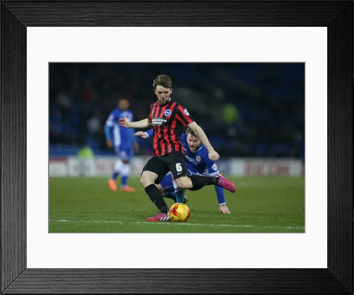 Framed Print : Dale Stephens in Action: Cardiff City vs. Brighton and Hove Albion, Sky Bet Championship 2015 - Midfielder's Determined Performance Framed Print : Dale Stephens in Action: Cardiff City vs. Brighton and Hove Albion, Sky Bet Championship 2015 - Midfielder's Determined Performance