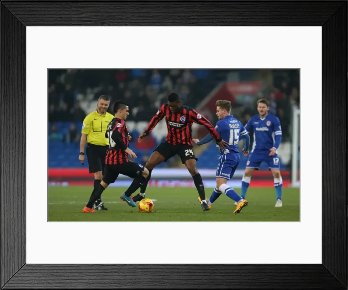 Framed Print : Rohan Ince: Midfield Battle in Cardiff City vs. Brighton and Hove Albion, Sky Bet Championship 2015 Framed Print : Rohan Ince: Midfield Battle in Cardiff City vs. Brighton and Hove Albion, Sky Bet Championship 2015
