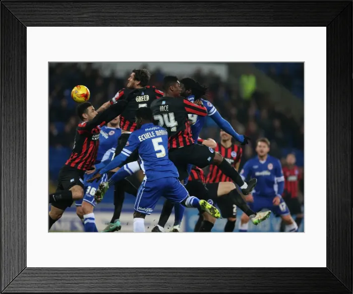 Framed Print : Gordon Greer Leads Brighton and Hove Albion in Championship Clash against Cardiff City (10FEB15) Framed Print : Gordon Greer Leads Brighton and Hove Albion in Championship Clash against Cardiff City (10FEB15)