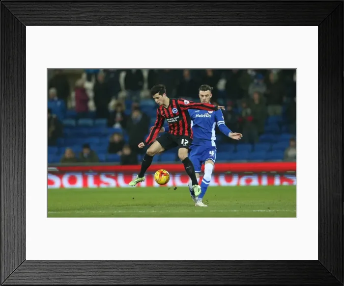 Framed Print : Teixeira's Midfield Masterclass: Cardiff vs. Brighton, Sky Bet Championship 2015 Framed Print : Teixeira's Midfield Masterclass: Cardiff vs. Brighton, Sky Bet Championship 2015