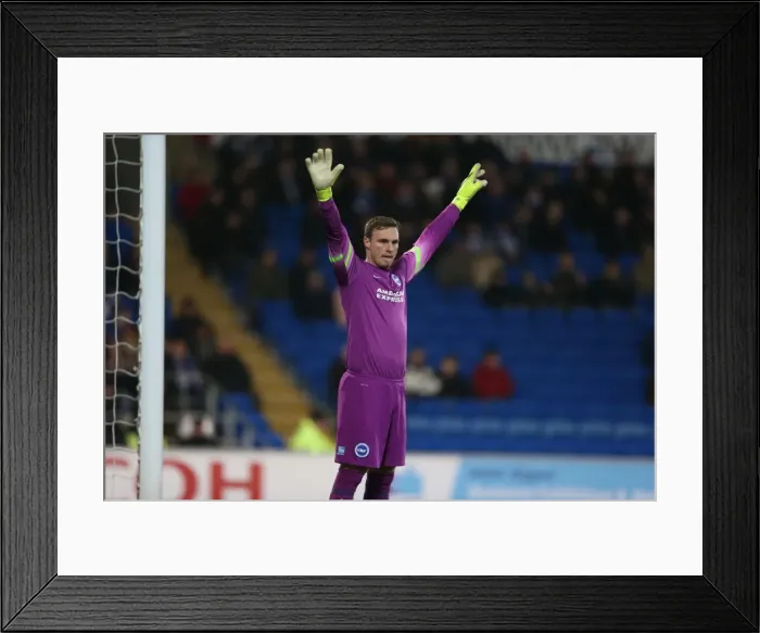 Framed Print : David Stockdale in Action: Cardiff City vs. Brighton and Hove Albion, Sky Bet Championship 2015 Framed Print : David Stockdale in Action: Cardiff City vs. Brighton and Hove Albion, Sky Bet Championship 2015