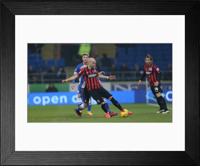 Framed Print : Bruno Saltor of Brighton and Hove Albion in Action against Cardiff City, Sky Bet Championship 2015 Framed Print : Bruno Saltor of Brighton and Hove Albion in Action against Cardiff City, Sky Bet Championship 2015