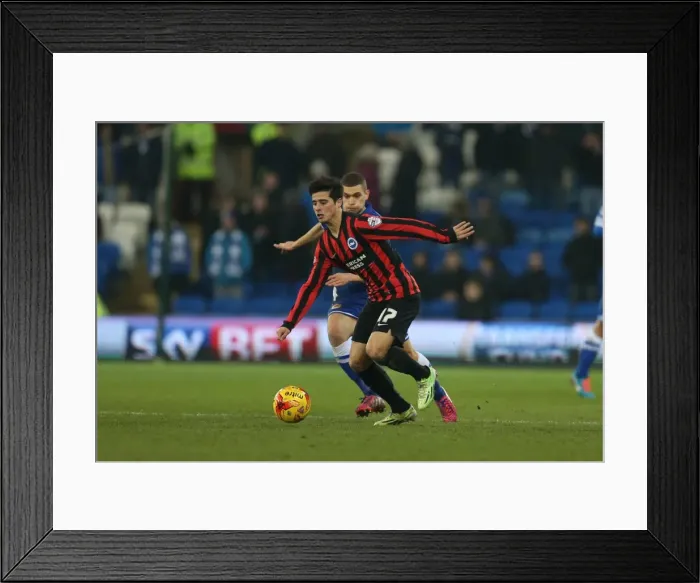 Framed Print : Joao Carlos Teixeira in Action for Brighton Against Cardiff City, 10th February 2015 Framed Print : Joao Carlos Teixeira in Action for Brighton Against Cardiff City, 10th February 2015