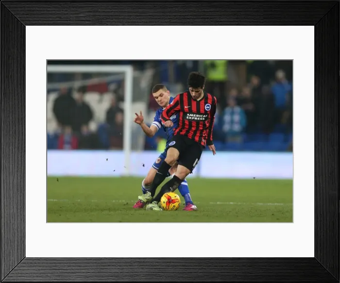 Framed Print : Teixeira in Action: Cardiff City vs. Brighton & Hove Albion, Sky Bet Championship (10FEB15) Framed Print : Teixeira in Action: Cardiff City vs. Brighton & Hove Albion, Sky Bet Championship (10FEB15)
