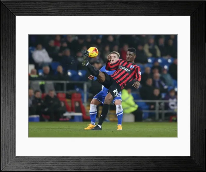 Framed Print : Rohan Ince in Action: Cardiff City vs. Brighton and Hove Albion, Sky Bet Championship 2015 Framed Print : Rohan Ince in Action: Cardiff City vs. Brighton and Hove Albion, Sky Bet Championship 2015