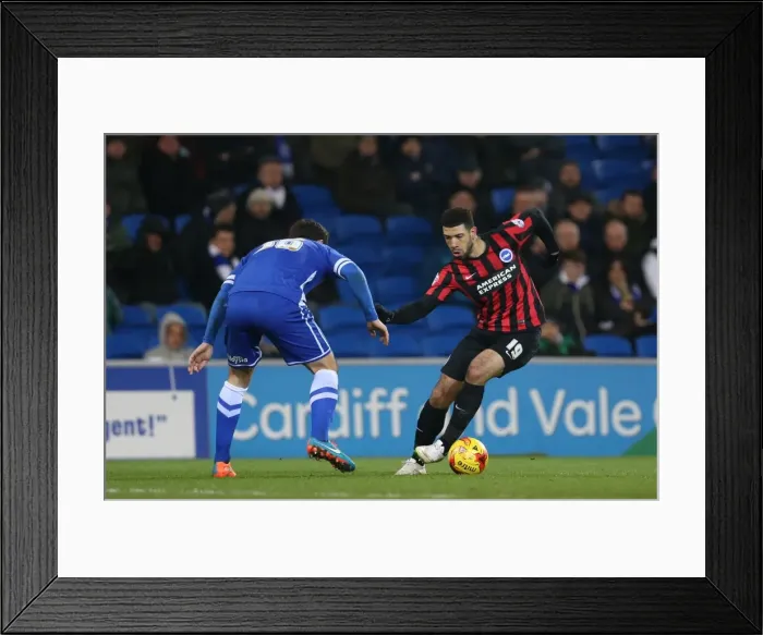 Framed Print : Leon Best in Action: Cardiff City vs. Brighton and Hove Albion, Sky Bet Championship 2015 Framed Print : Leon Best in Action: Cardiff City vs. Brighton and Hove Albion, Sky Bet Championship 2015
