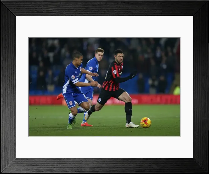 Framed Print : Brighton's Leon Best Fights for Goal Against Cardiff City in Sky Bet Championship Clash, 10th February 2015 Framed Print : Brighton's Leon Best Fights for Goal Against Cardiff City in Sky Bet Championship Clash, 10th February 2015