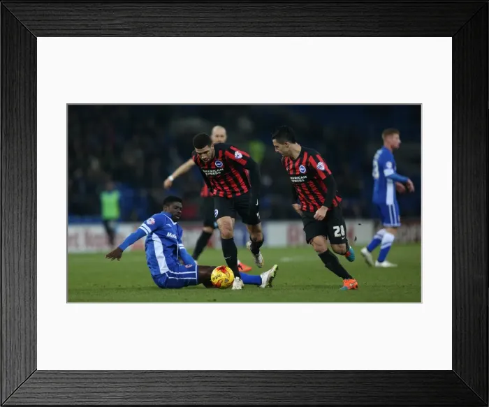 Framed Print : Leon Best in Action: Cardiff City vs. Brighton and Hove Albion, Sky Bet Championship 2015 Framed Print : Leon Best in Action: Cardiff City vs. Brighton and Hove Albion, Sky Bet Championship 2015