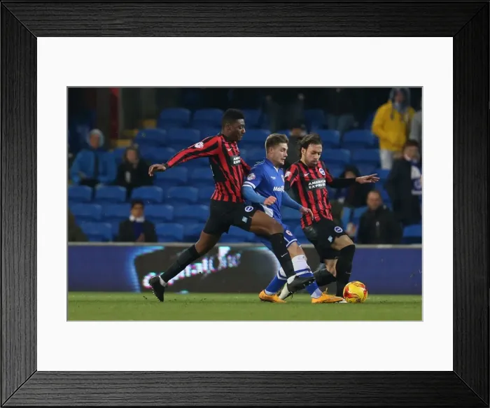 Framed Print : Rohan Ince: Midfield Battle in Cardiff City vs. Brighton and Hove Albion, Sky Bet Championship 2015 Framed Print : Rohan Ince: Midfield Battle in Cardiff City vs. Brighton and Hove Albion, Sky Bet Championship 2015