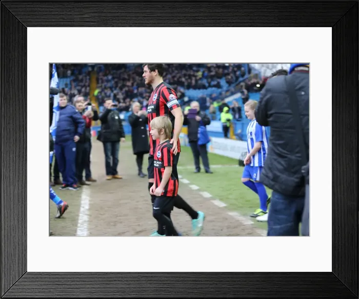 Framed Print : Brighton and Hove Albion Mascot at Sheffield Wednesday's Hillsborough Stadium during Sky Bet Championship Match, 14 February 2015 Framed Print : Brighton and Hove Albion Mascot at Sheffield Wednesday's Hillsborough Stadium during Sky Bet Championship Match, 14 February 2015