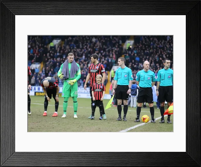 Framed Print : Brighton & Hove Albion Mascot at Sheffield Wednesday's Hillsborough Stadium during Sky Bet Championship Match (14 February 2015) Framed Print : Brighton & Hove Albion Mascot at Sheffield Wednesday's Hillsborough Stadium during Sky Bet Championship Match (14 February 2015)