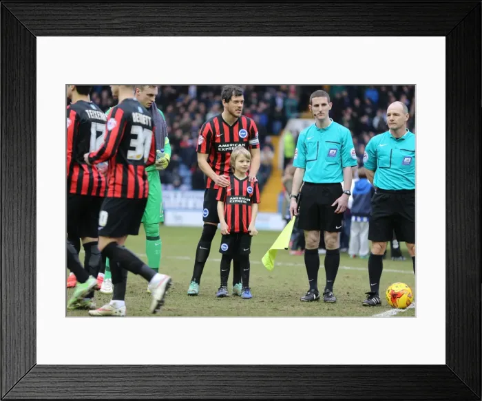 Framed Print : Brighton and Hove Albion Mascot in Action at Sheffield Wednesday's Hillsborough Stadium, 14 February 2015 Framed Print : Brighton and Hove Albion Mascot in Action at Sheffield Wednesday's Hillsborough Stadium, 14 February 2015