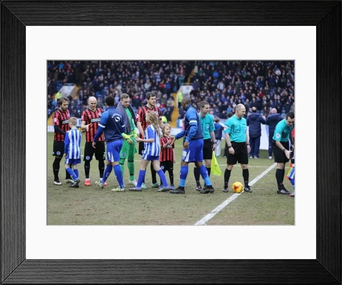 Framed Print : Brighton & Hove Albion Mascot at Sheffield Wednesday's Hillsborough Stadium during Sky Bet Championship Match, 14 February 2015